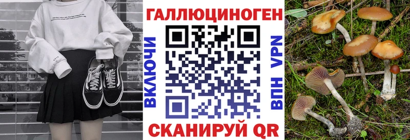 дарк нет наркотические препараты  Лысково  Псилоцибиновые грибы GOLDEN TEACHER 